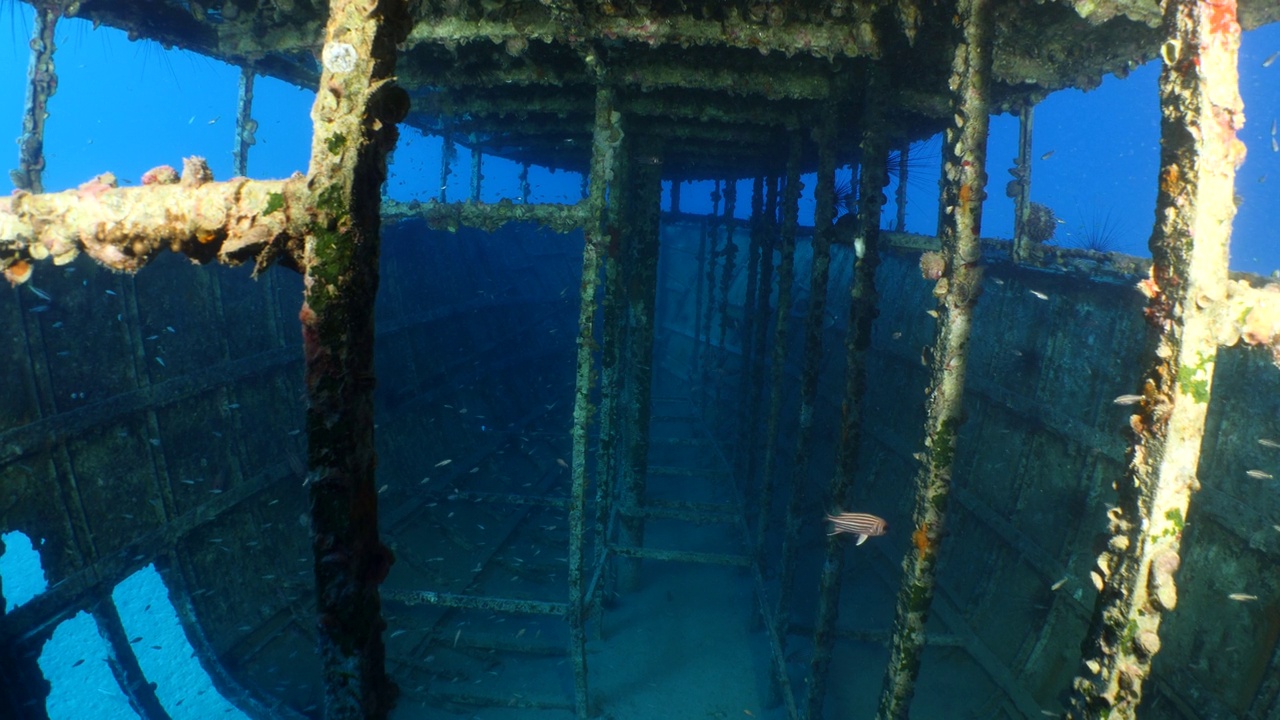 水下沉船风景，沉船金属在海底与鱼学校周围scua潜水员探索视频素材