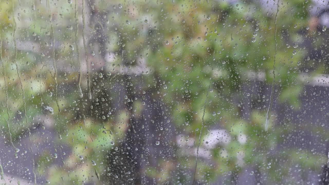 树叶在雨中飞舞视频素材