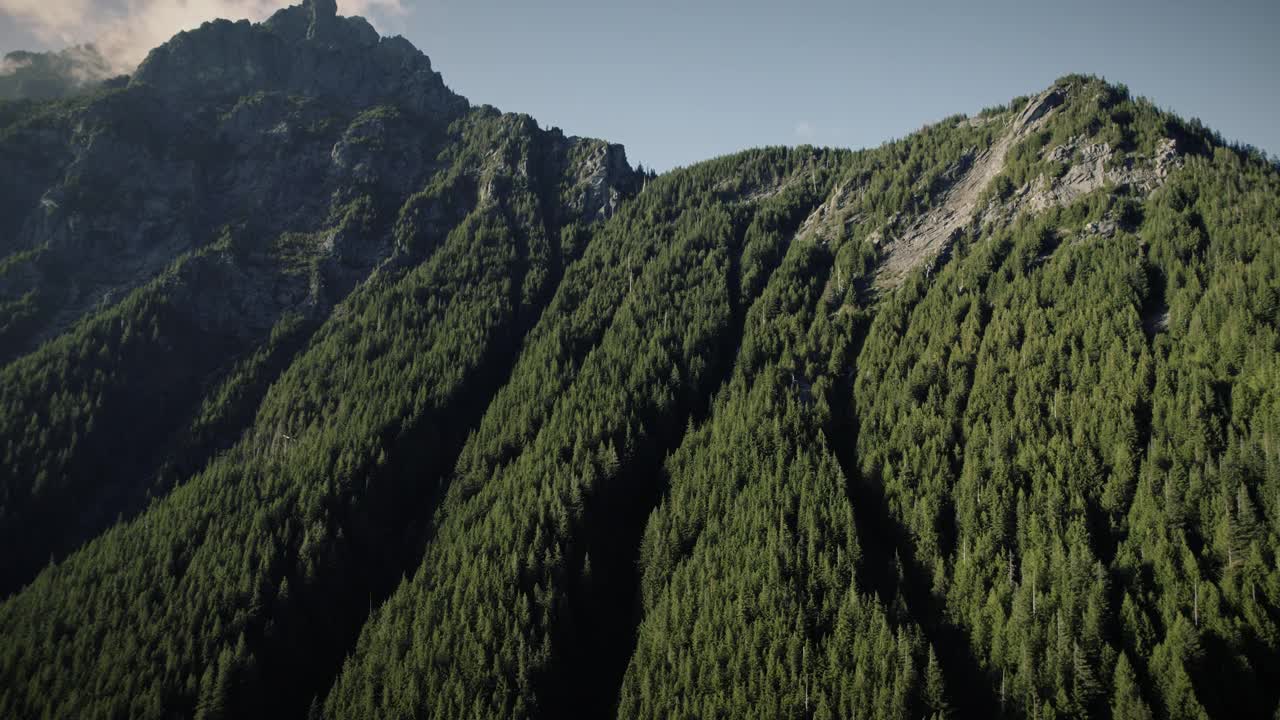 平稳的无人机飞行在崎岖的山脊上的常青树视频素材