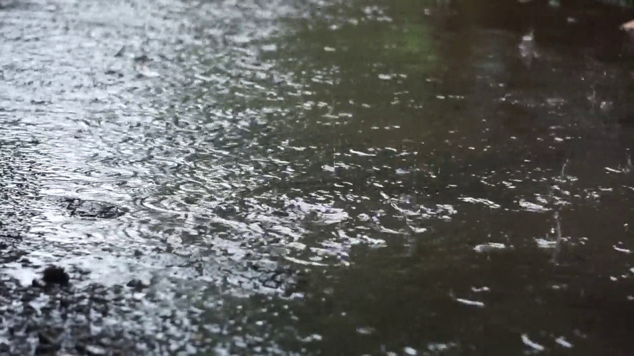 雨滴落在水坑里视频素材