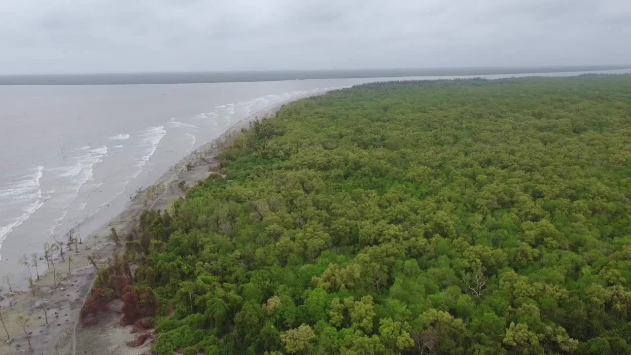 Kuakata海海滩无人机视图被绿色森林包围视频素材