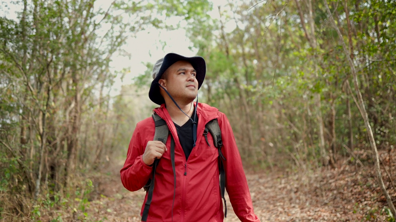 男人旅行者与背包徒步旅行在森林在秋天的假期户外。游客在假期进行自然探险之旅。旅行的生活方式的概念视频素材