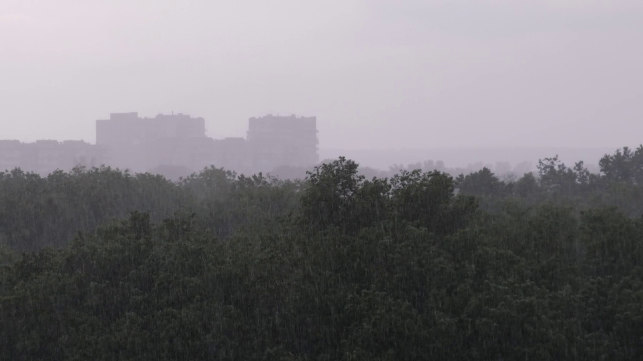 绿色森林背景上的雷雨，狂风暴雨，暴风雨视频素材