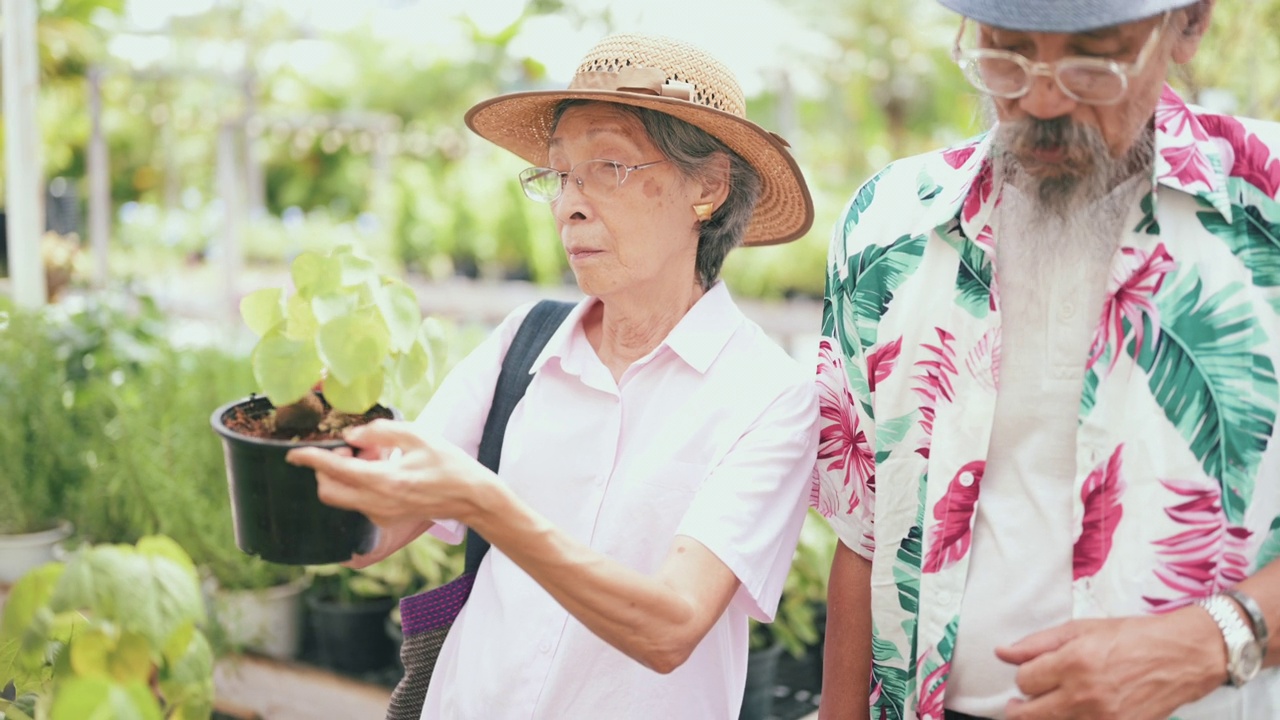 老夫妻在花园里视频素材