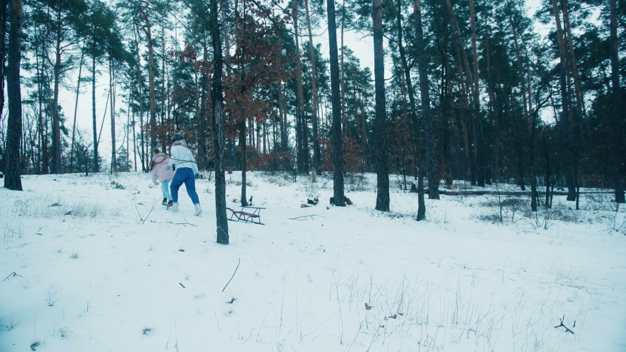 一个快乐的家庭，女孩和妈妈在雪地里玩雪橇视频素材