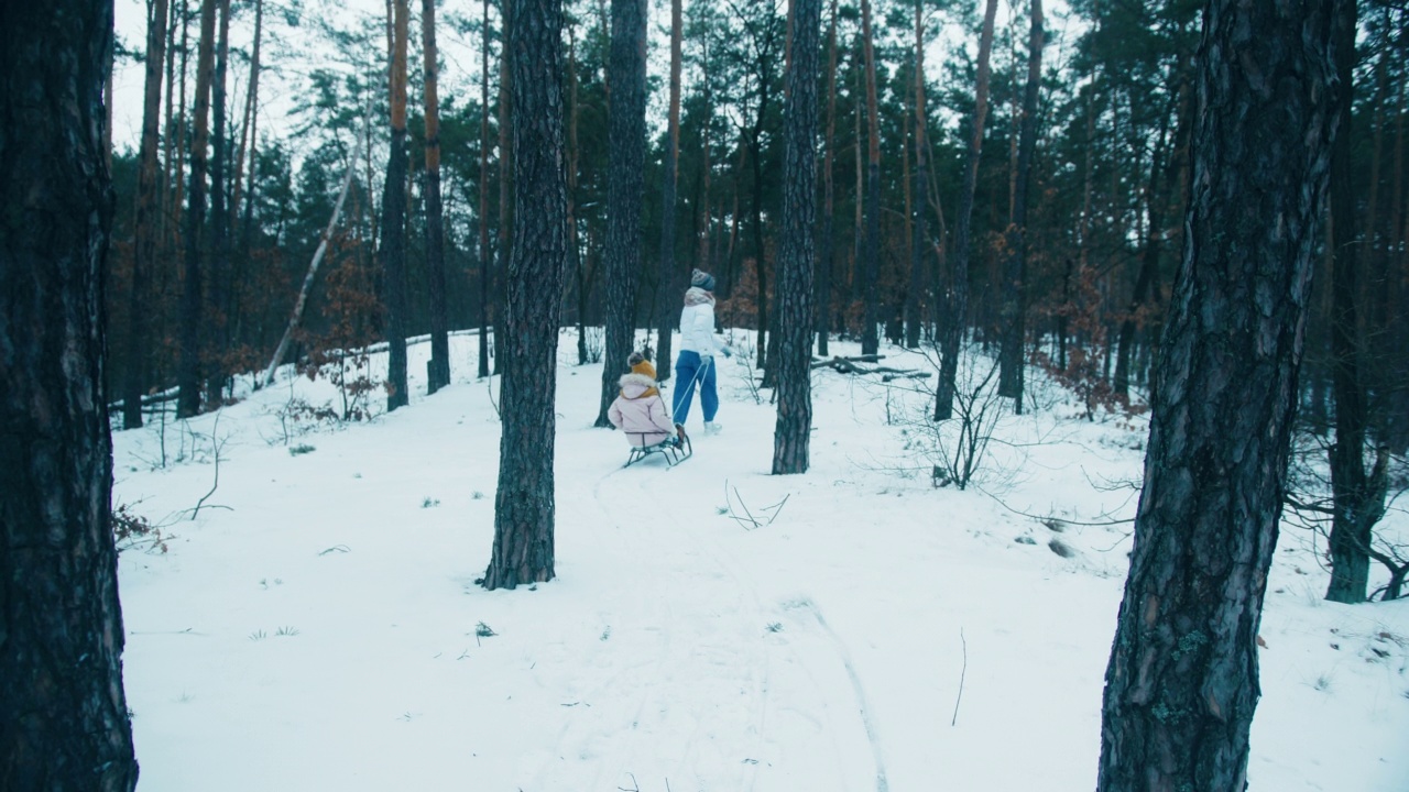 在白雪皑皑的松林里，母亲骑着小女儿坐在雪橇上视频素材