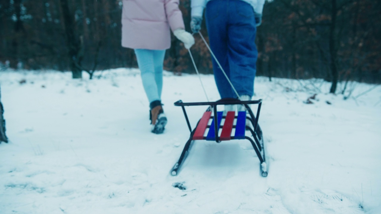 年轻的女人和女孩走在森林里，手里拉着雪橇视频素材