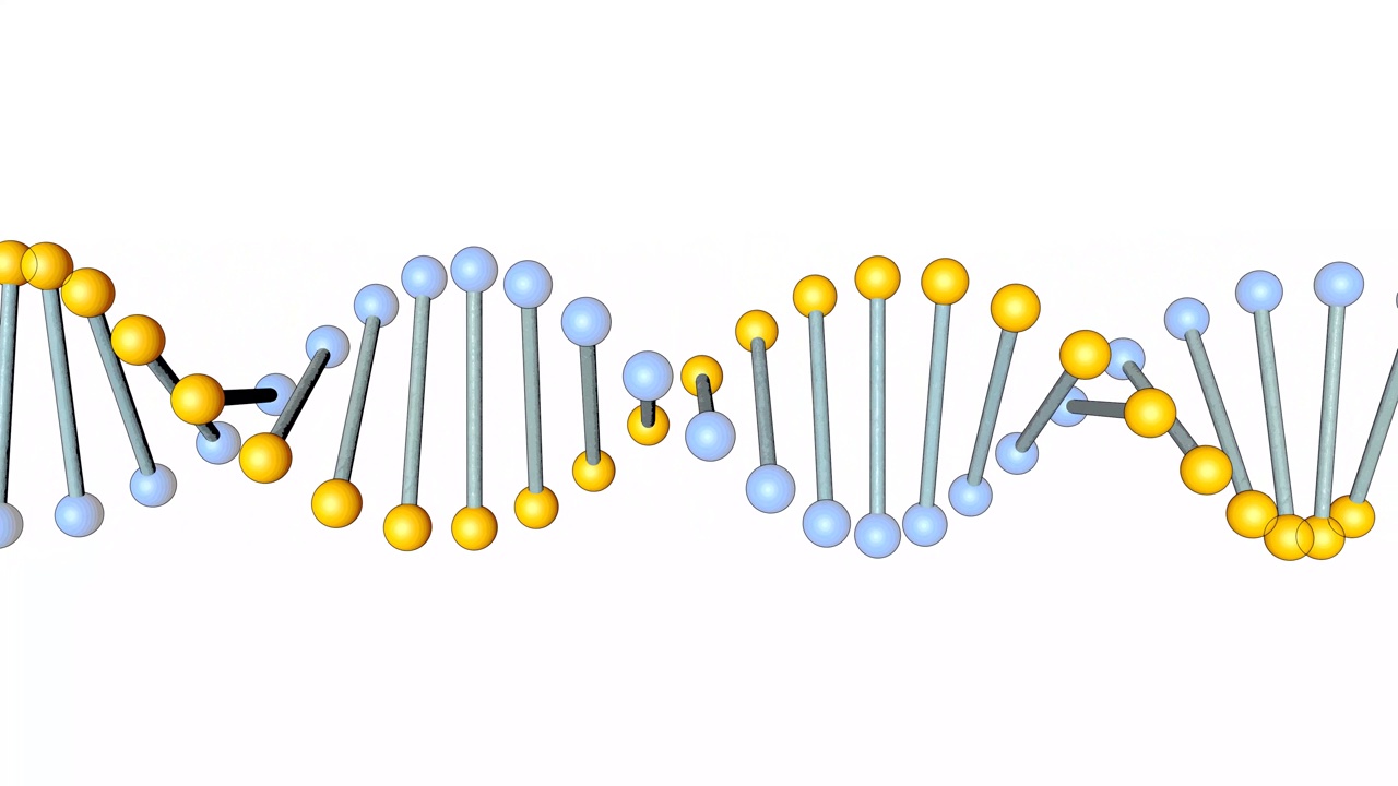 白色背景上的DNA的3D循环动画。科学与医学观念。视频素材