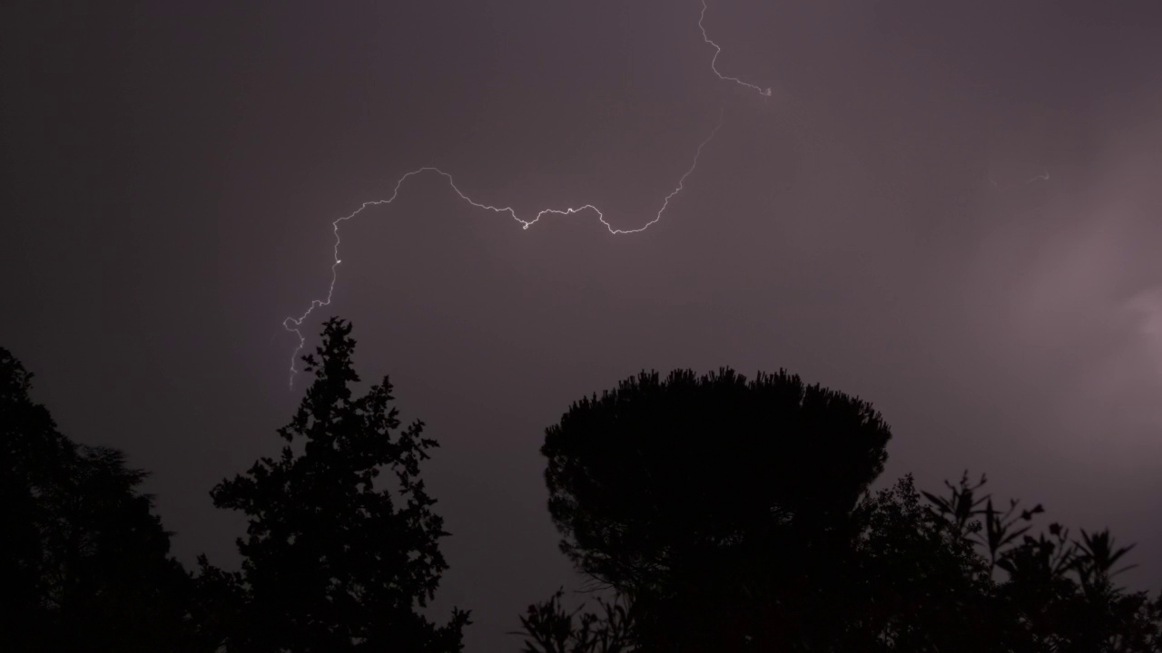 闪电的夜晚树视频素材