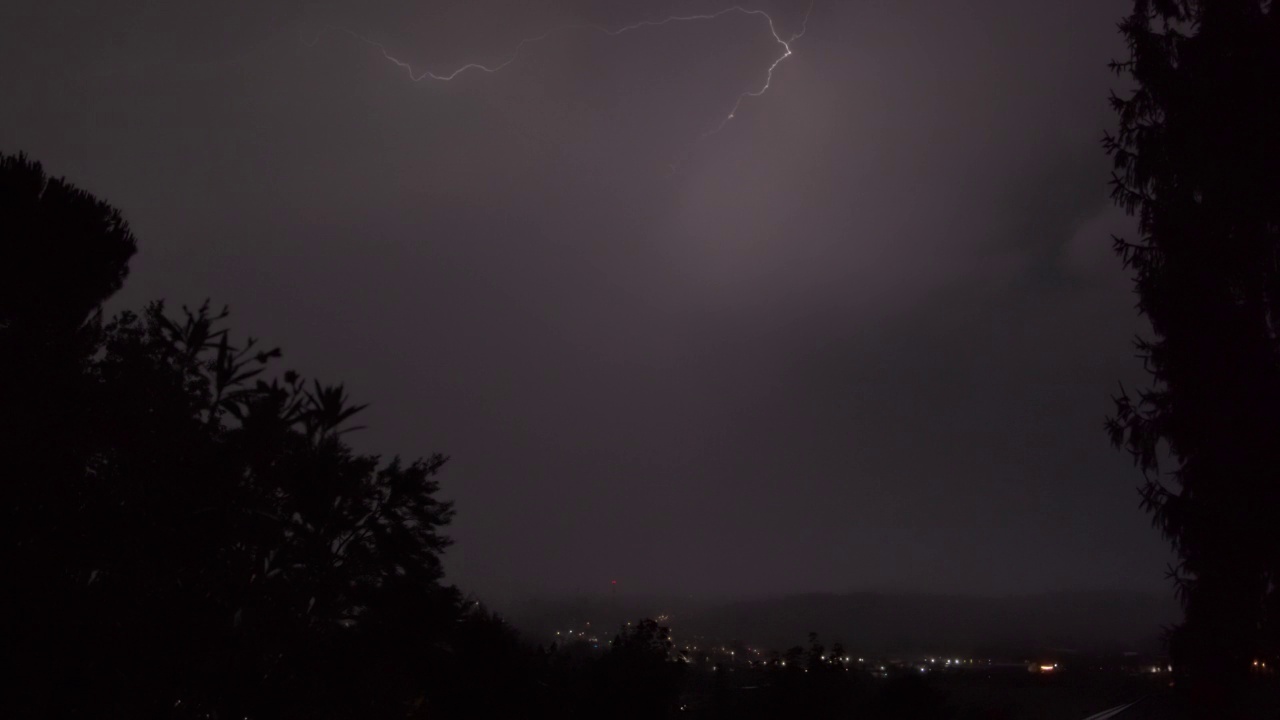 闪电夜树城市之光视频素材