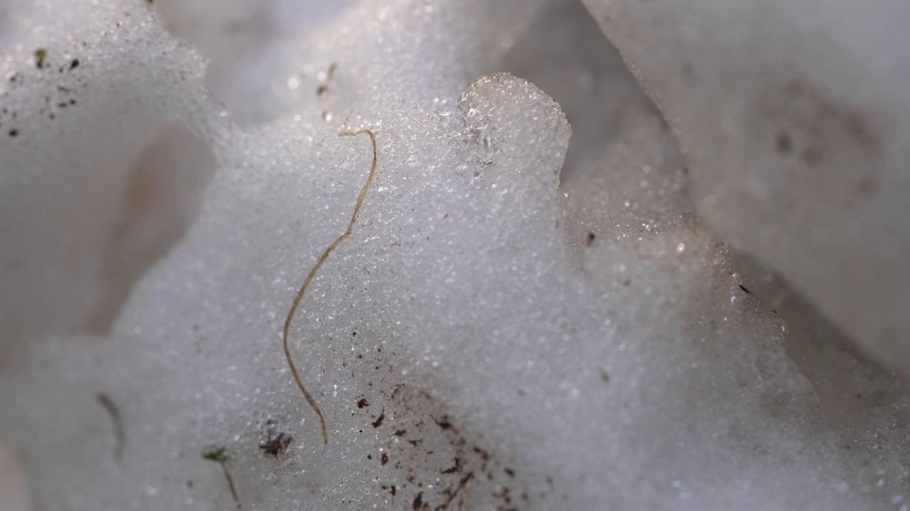 微距，近距离拍摄的雪花。冬观，霜冻，冻结时间。冰的微距镜头。寒冷的时期。视频素材