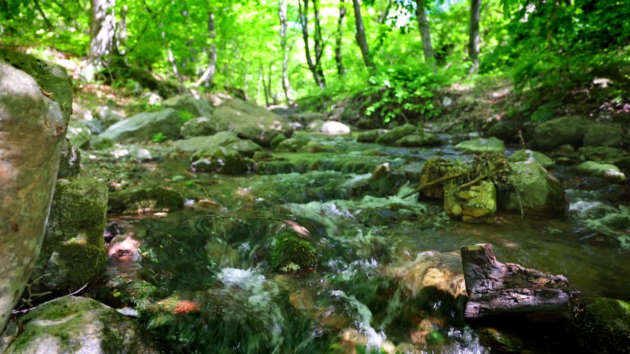 森林中流淌的小溪。瀑布。山区河流,小溪视频素材