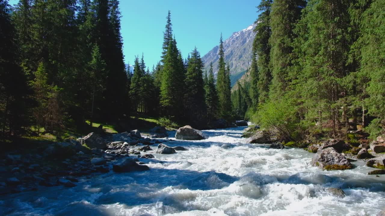 美丽的山河，水流湍急，泡沫飞溅。美丽的山河和周围生长的云杉林。视频下载