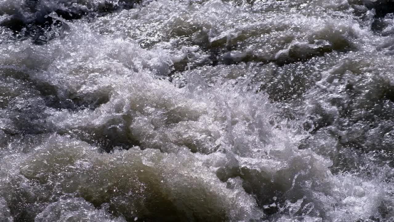 美丽的山河，水流湍急，泡沫飞溅。美丽的山河和周围生长的云杉林。视频素材