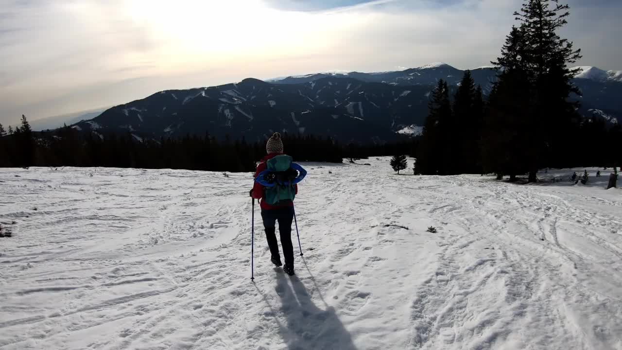 活跃的成年女性在奥地利卡林西亚的拉万塔尔阿尔卑斯山斯坦普兰山顶附近的积雪覆盖的高山草地上徒步旅行。早春徒步旅行。冬季仙境。阳光明媚,敬畏视频素材