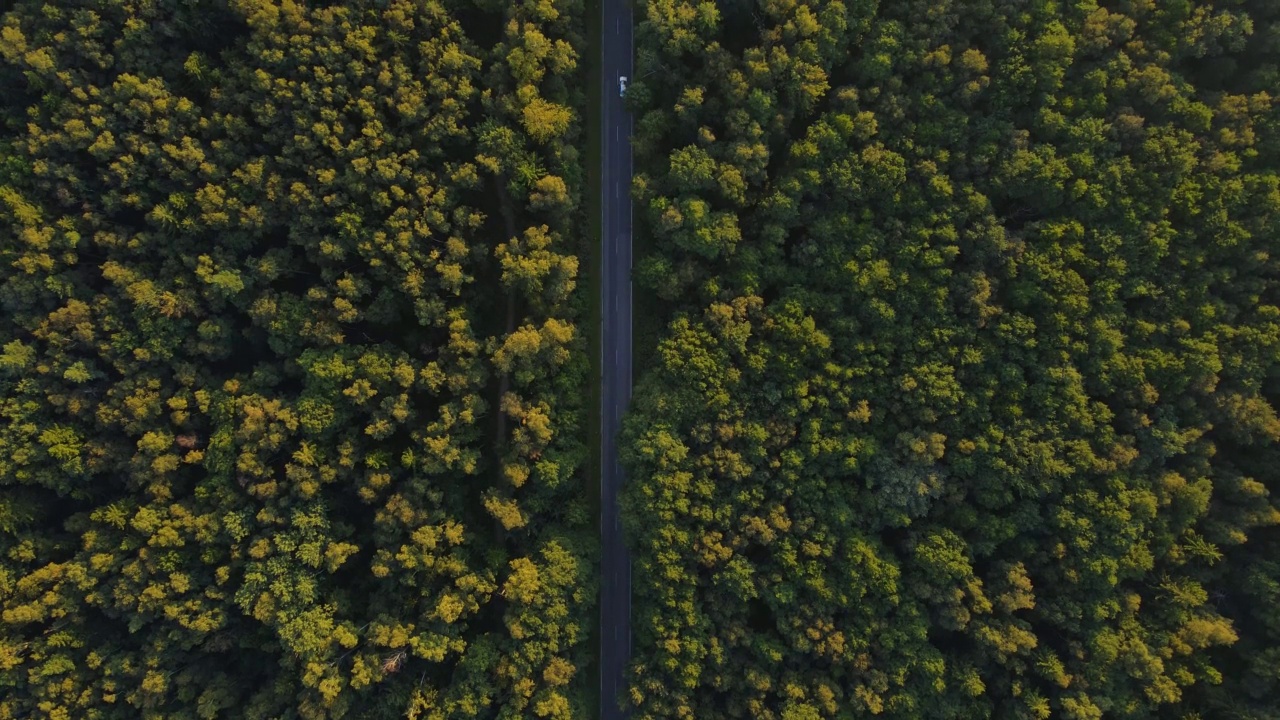 空中无人机的绿色森林与道路和汽车行驶在乡村道路。俯视图视频素材