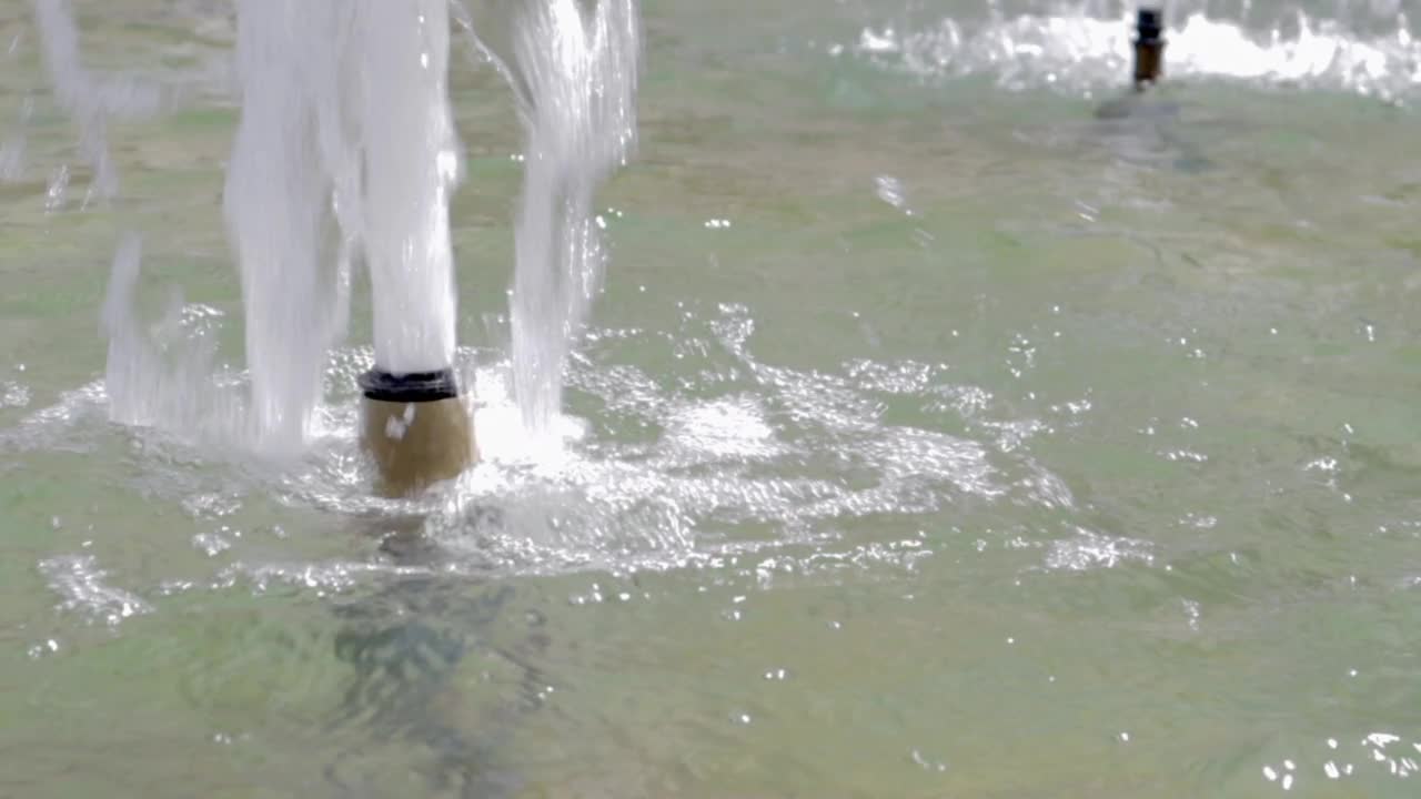 水花在喷泉中的水花或水花的慢动作。一个城市喷泉在炎热的夏天的特写。水滴和水花在阳光下闪闪发光。水的压力。舞蹈喷泉视频素材