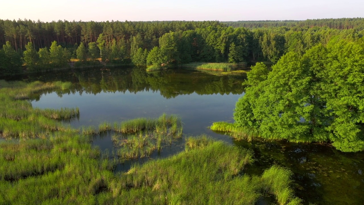 一架无人机飞过森林环抱的寂静湖泊。视频素材