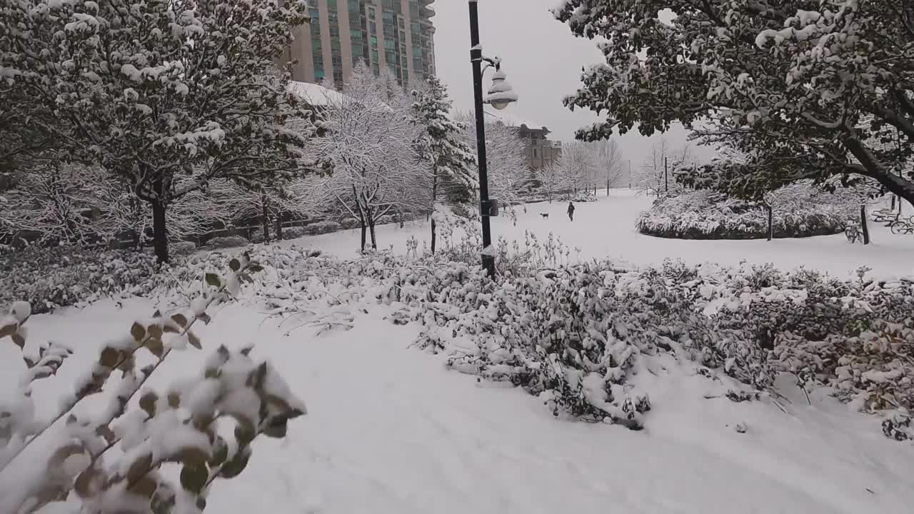 积雪的无人机在结冰的公园上空飞行视频素材