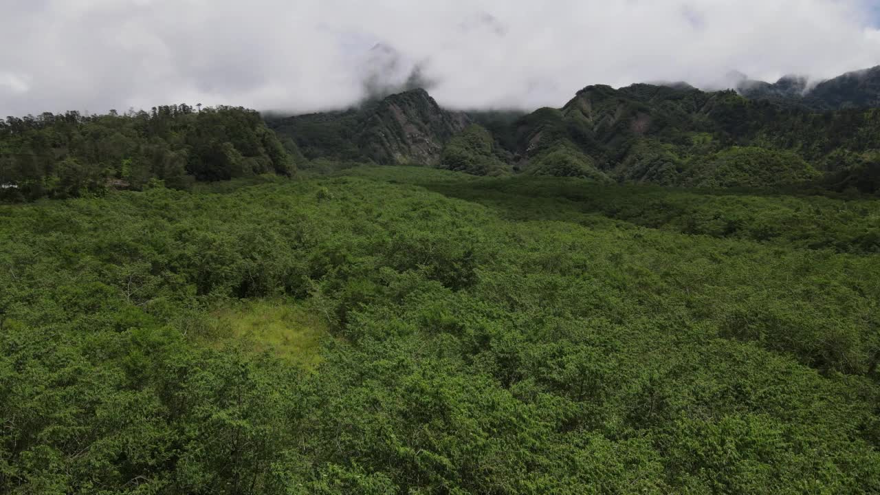 在印度尼西亚的热带森林、山脉和山谷中飞行的鸟瞰图。视频素材