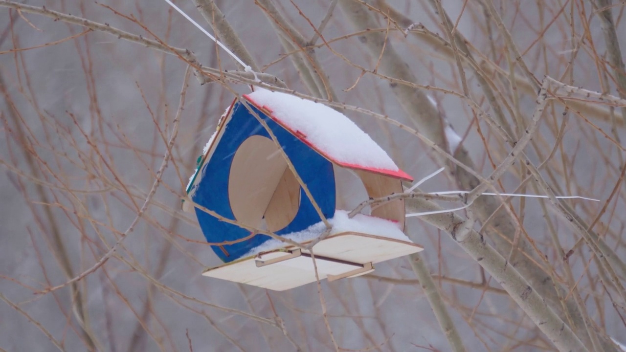 公园里的鸟舍在冬天下雪的时候。有选择性的重点视频素材