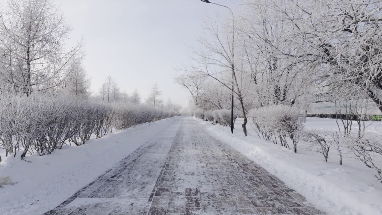 城市公园里白雪覆盖的小路视频素材