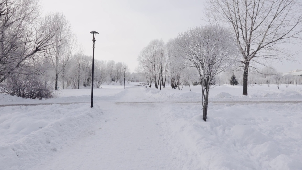 城市公园里白雪覆盖的小路视频素材