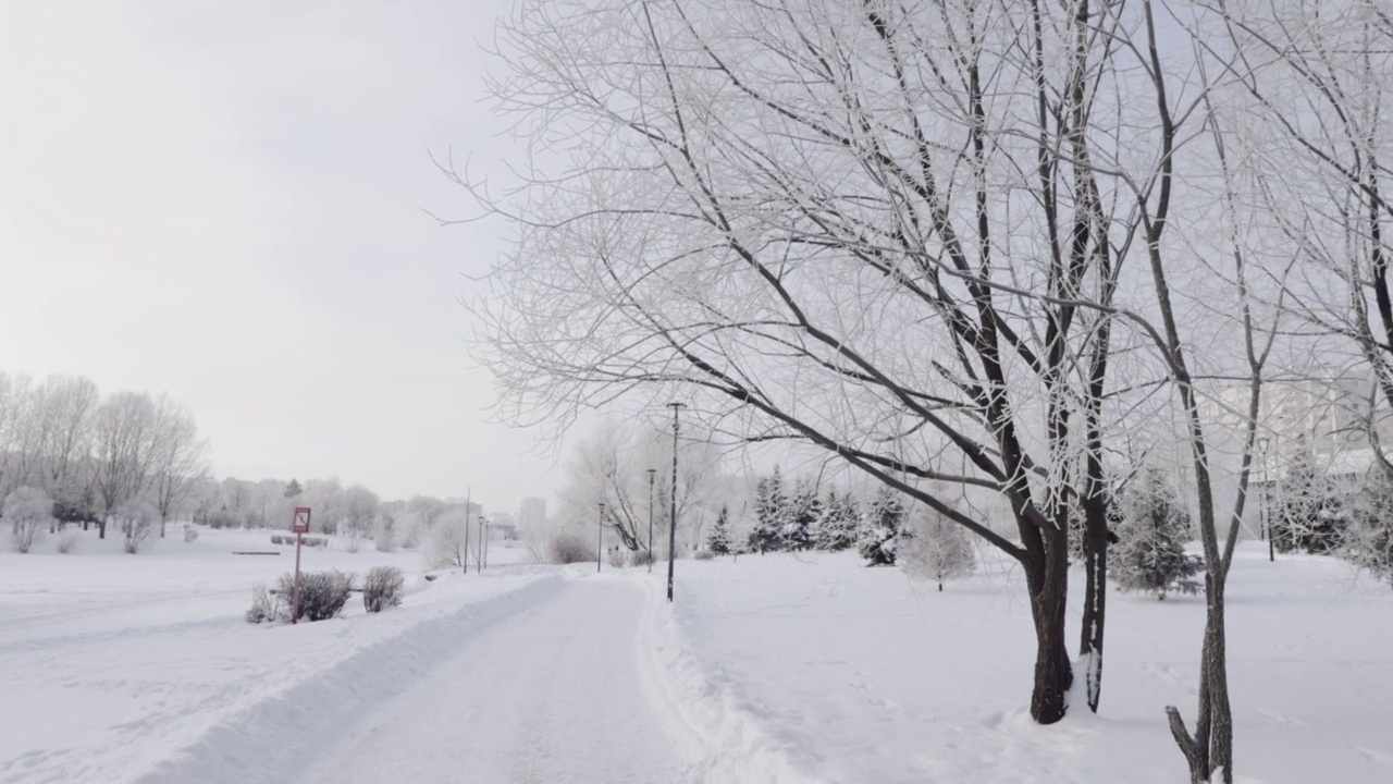 城市公园里白雪覆盖的小路视频素材