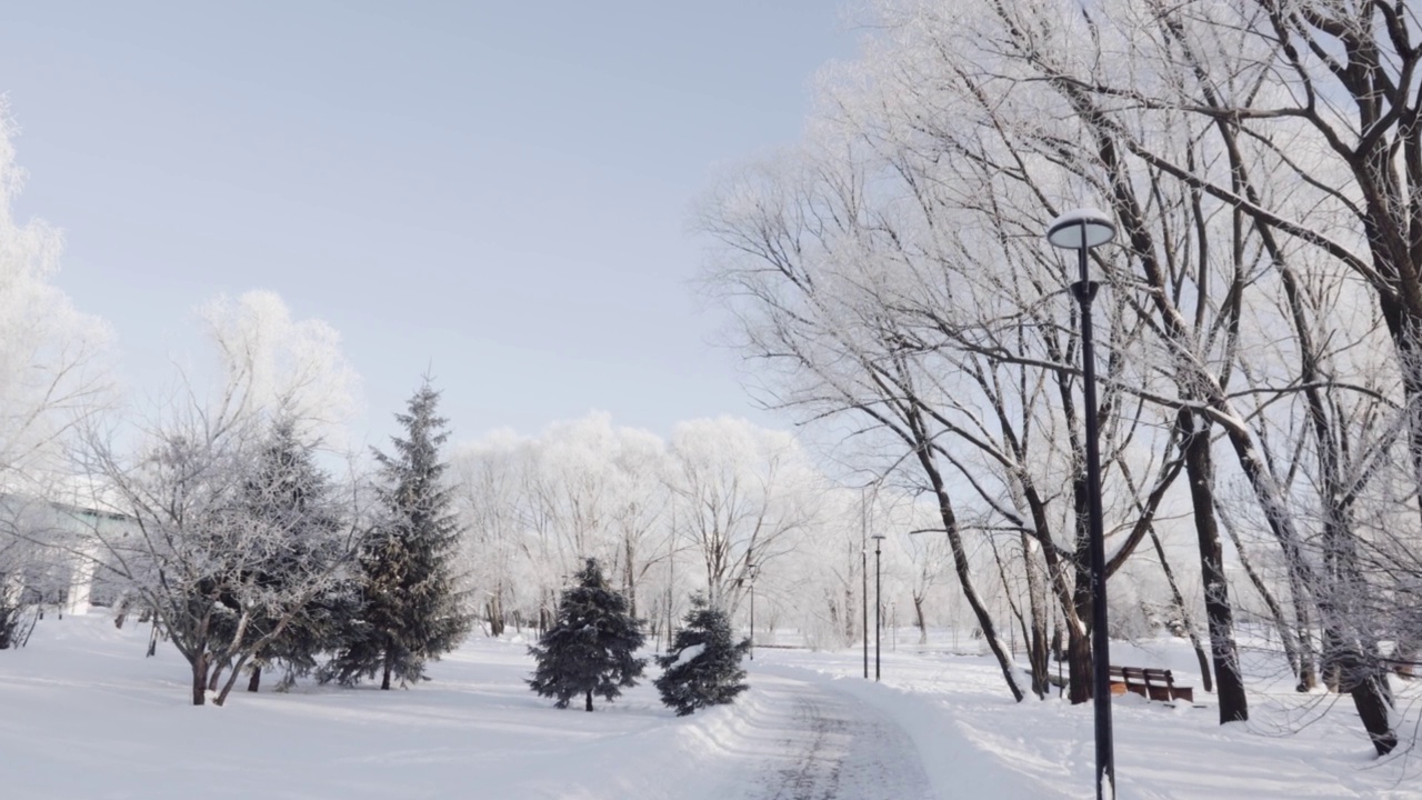 城市公园里白雪覆盖的小路视频素材