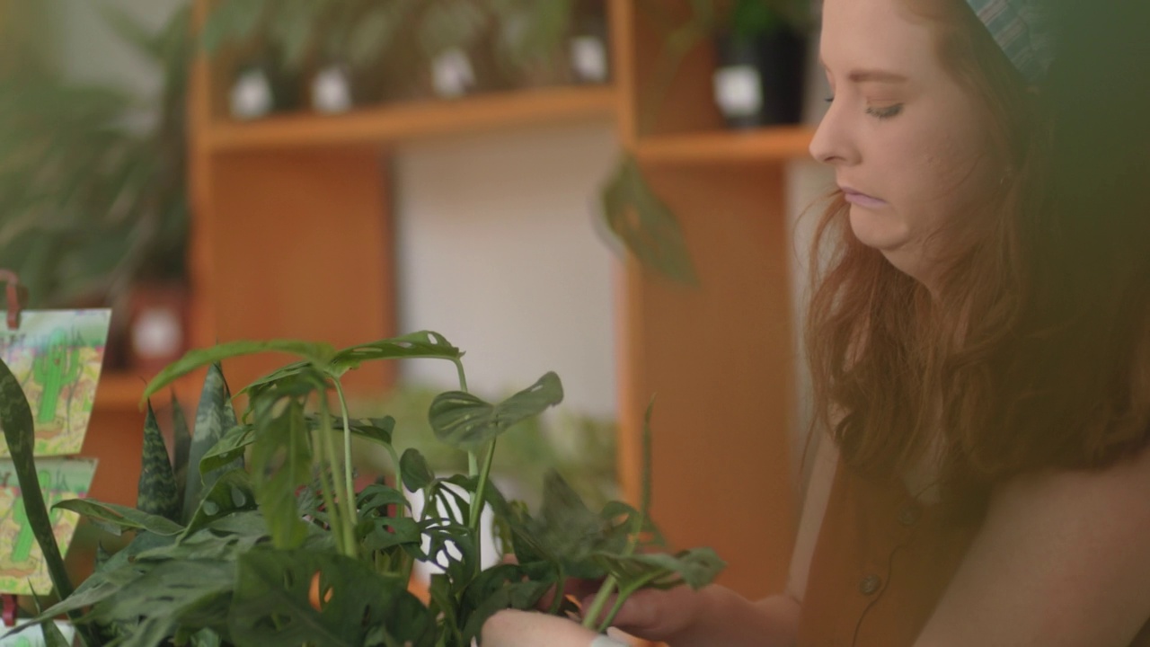 女人关心和支持她的家庭花园植物。视频素材