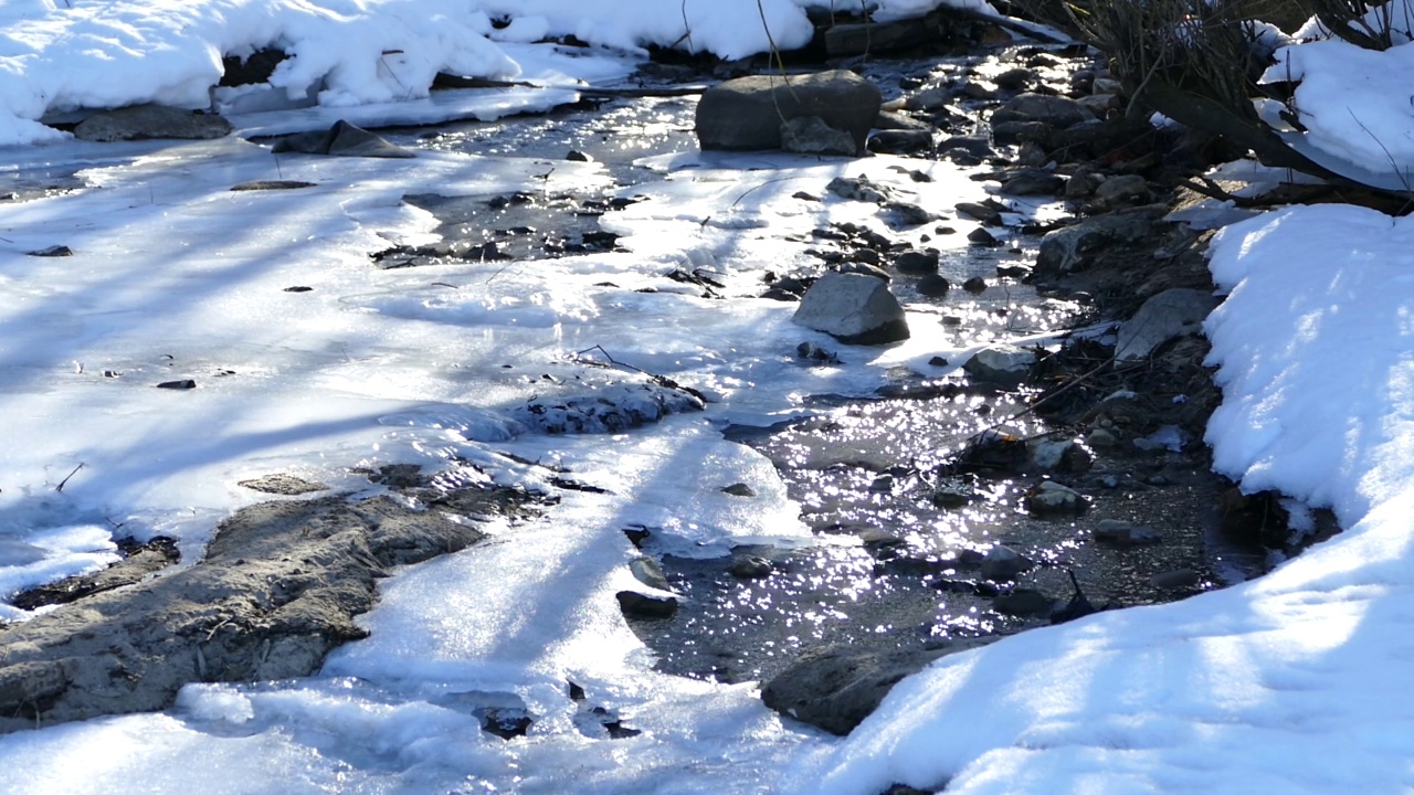 小河川涧道初春，融雪水在林间流淌视频下载