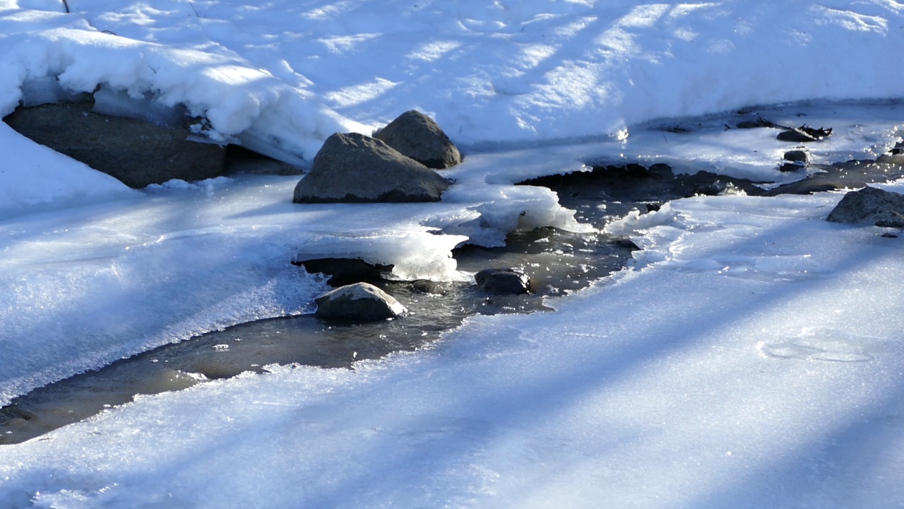 初春的小森林河，小溪淙淙的流过白雪视频素材