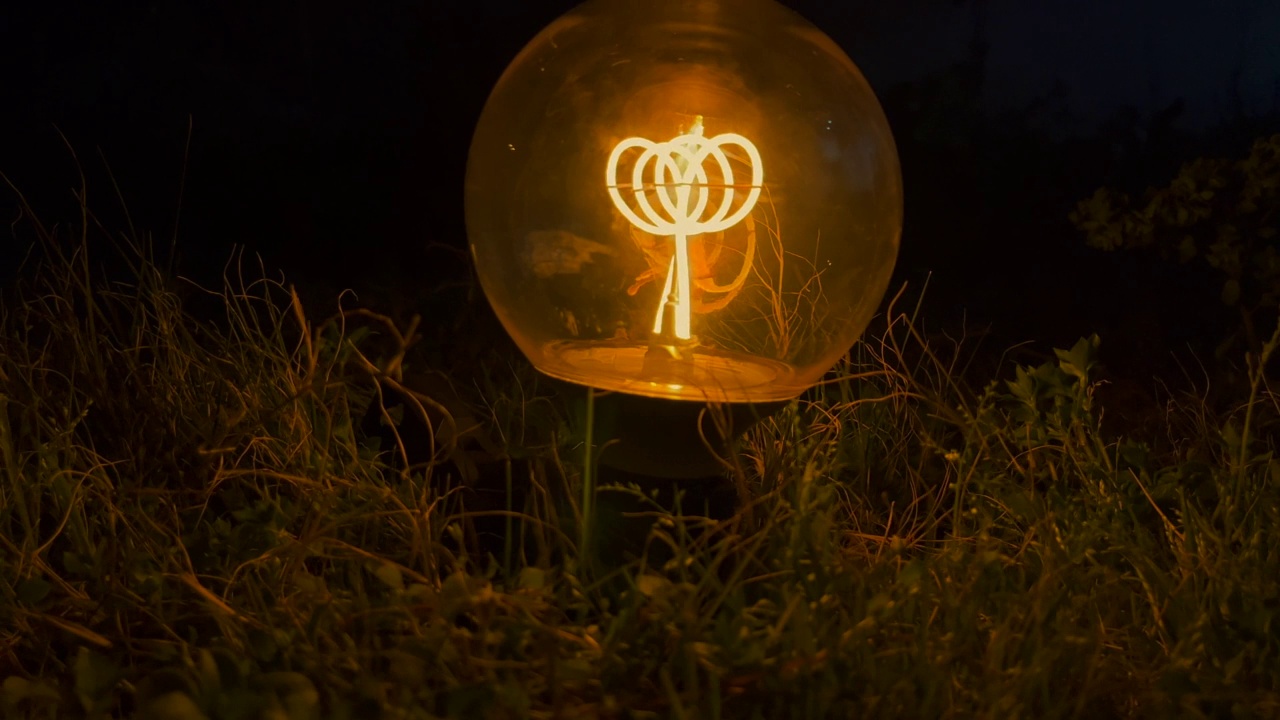 夜晚草地上的灯泡视频素材