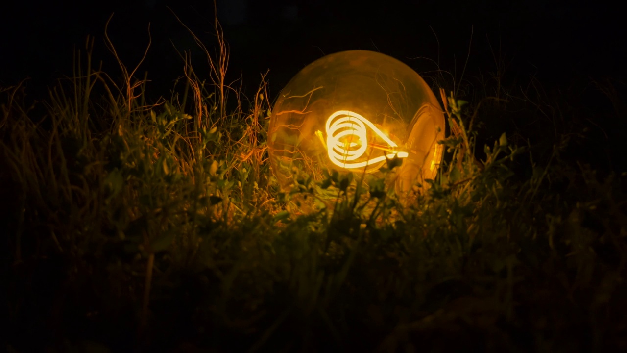 夜晚草地上的灯泡视频素材