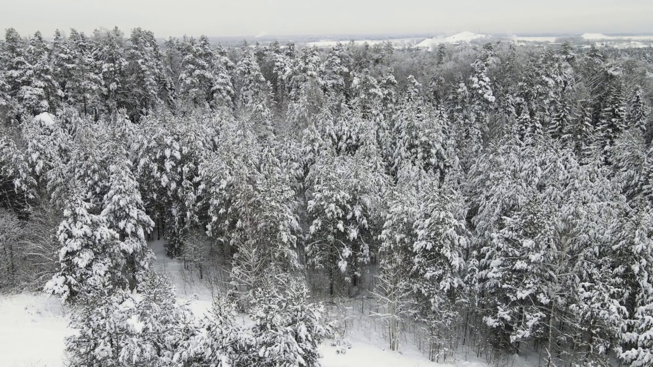 在寒冷的冬天，壮观的白雪覆盖的森林，鸟瞰图。视频素材