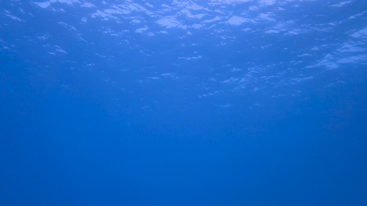 带海浪的水下景观视频素材