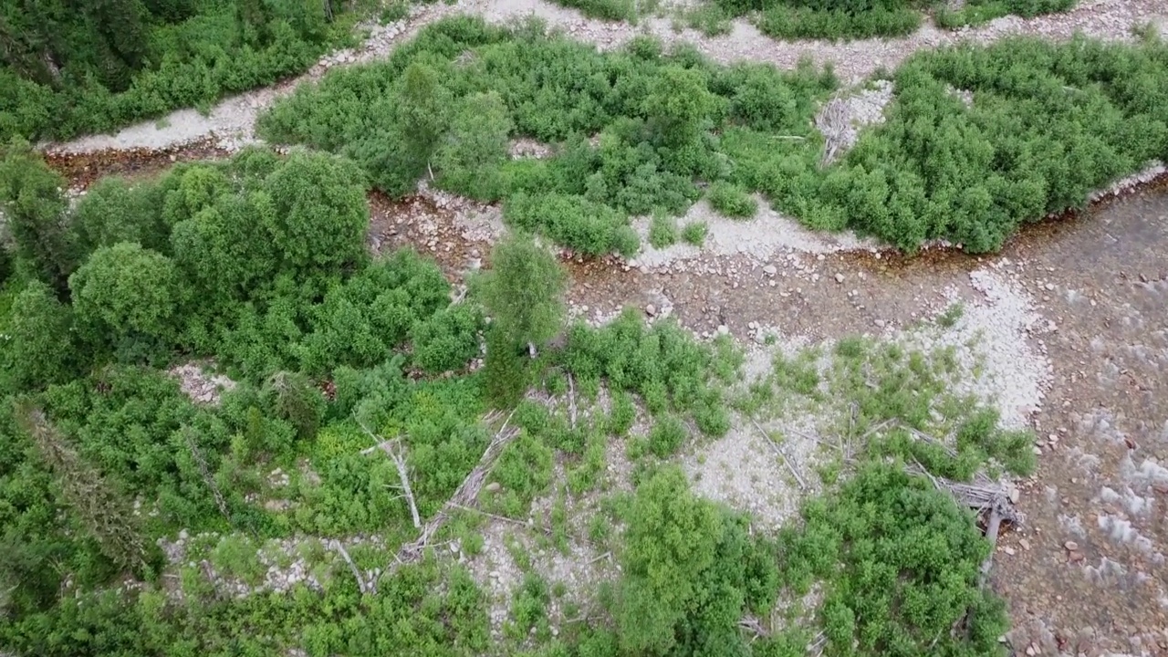 空中拍摄的小山上的针叶林。无人机俯瞰一望无际的云杉森林，山川风光。视频素材