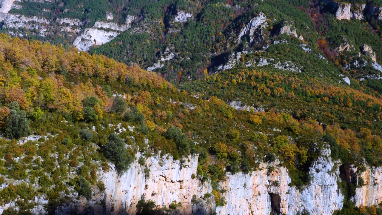 Añisclo峡谷的秋季景观。Ordesa和Monte Perdido国家公园。比利牛斯山脉。韦斯卡省，阿拉贡，西班牙，欧洲视频素材