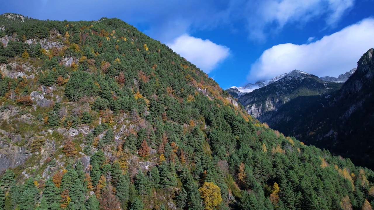 Urdiceto峡谷和Barrosa河上的Bielsa山谷的周围环境。秋天的比利牛斯山的混交林。韦斯卡省，阿拉贡，西班牙，欧洲视频素材