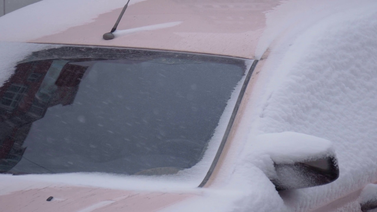 猫在雪下，在冬天下雪的街道户外。冬天，下了很多雪。汽车下了一场大雪。视频素材