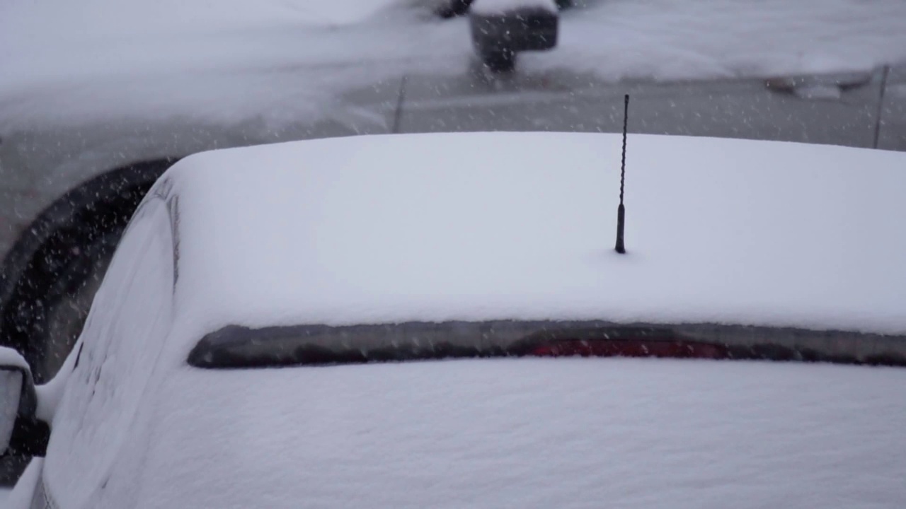 猫在雪下，在冬天下雪的街道户外。冬天，下了很多雪。汽车下了一场大雪。慢动作视频素材