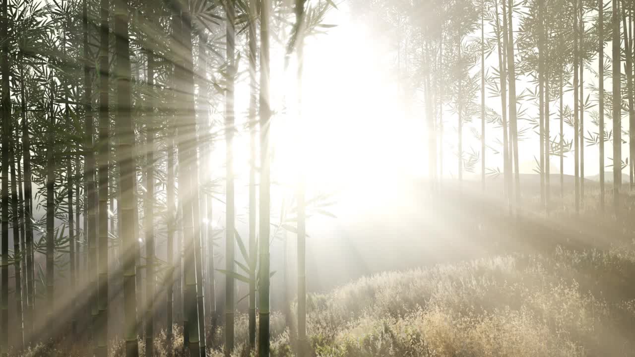 竹林青山在山中视频素材