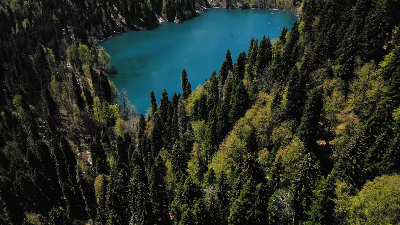 在针叶林中央的山地湖的无人机视图视频素材