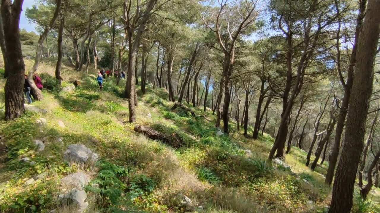 马萨·鲁布伦斯——圣科斯坦佐松林中的徒步旅行者视频素材