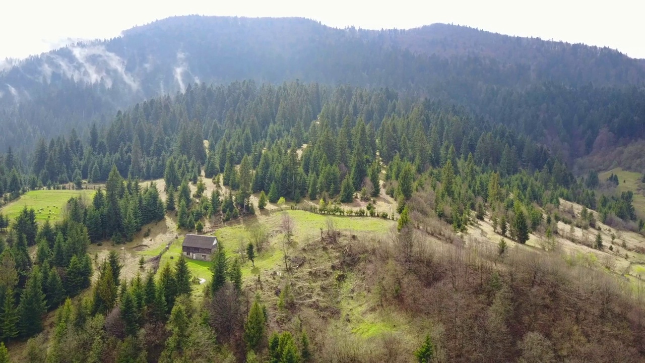 自然在山区，风景优美，美丽的山景，喀尔巴阡山脉视频素材