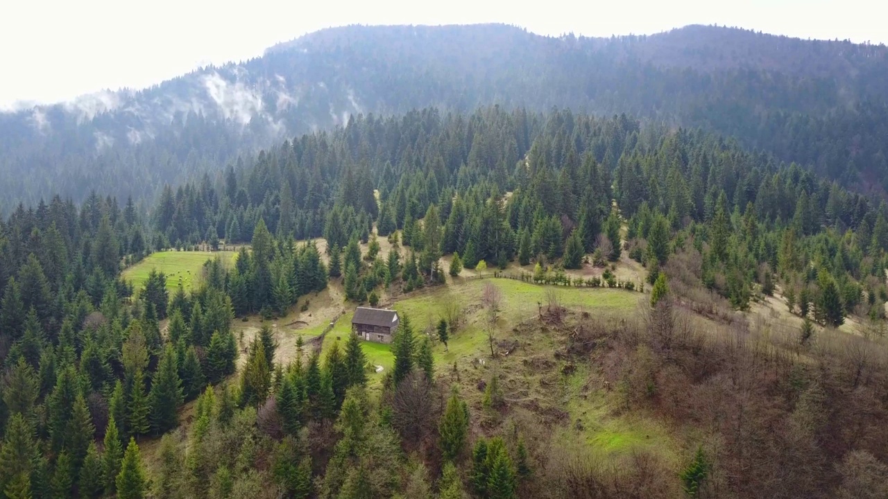 自然在山区，风景优美，美丽的山景，喀尔巴阡山脉视频素材