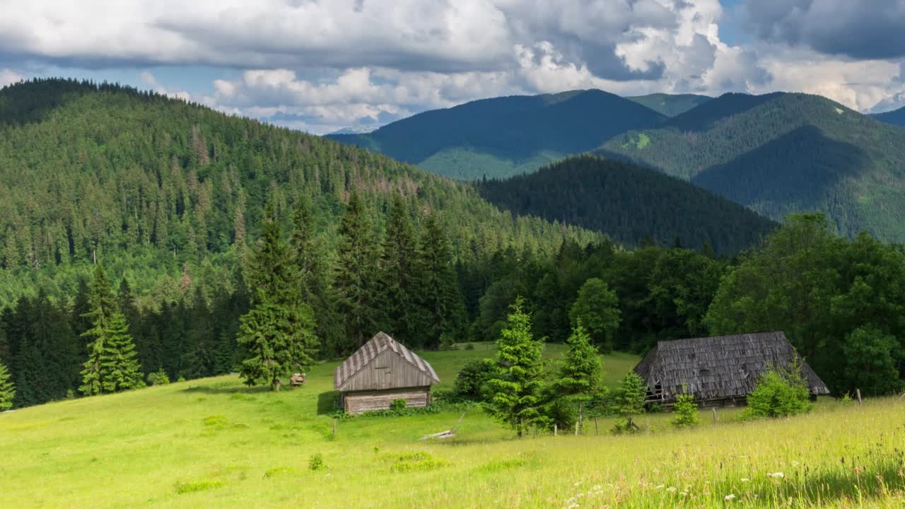 美丽的自然和美妙的景观，在乌克兰喀尔巴阡山脉的Synevyr山谷郁郁葱葱的绿色森林和植被。新鲜的绿色草地和盛开的野花。视频素材