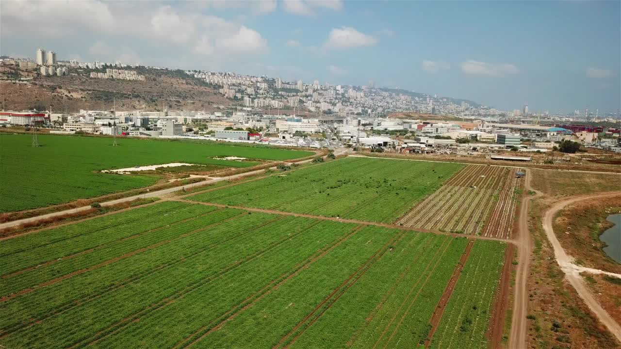 海法市鸟瞰图视频素材