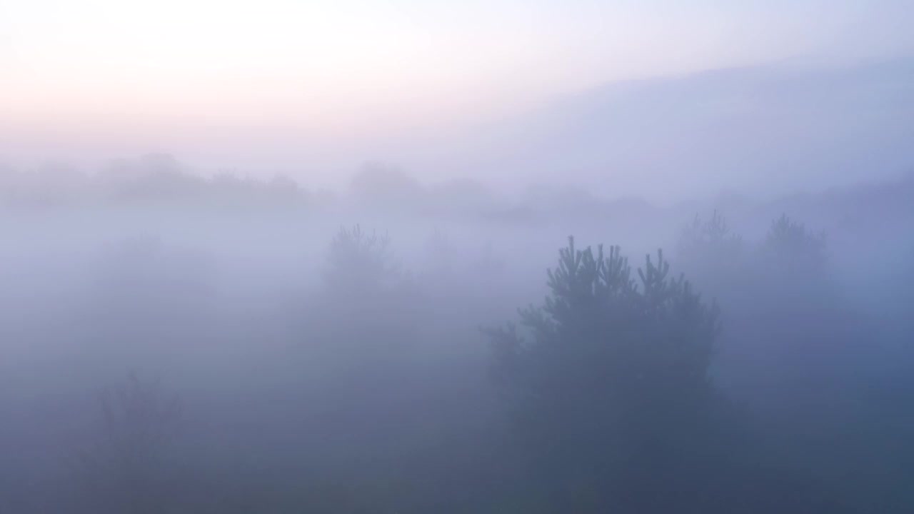 黎明前，一架无人机在浓雾笼罩平原上空拍摄了这张照片。视频素材