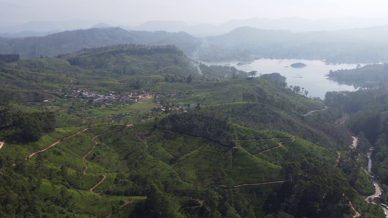 从空中俯瞰斯里兰卡的茶园。从亚当峰眺望达尔豪斯村，茶园，湖泊视频素材